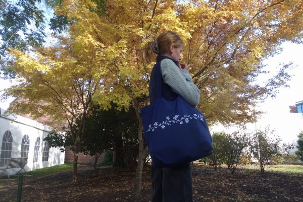 Sophia - Fanny Pack - Image 3