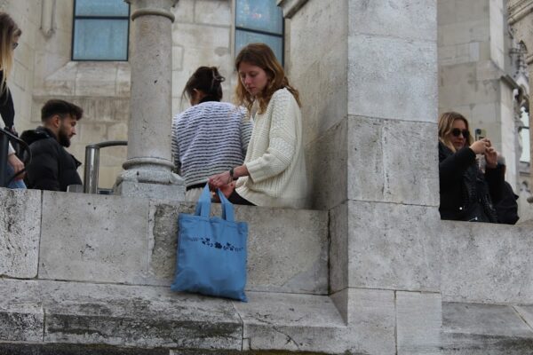 Áfonya - Totebag - Image 4